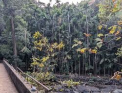 दापोली : पाण्यात पडून आजोबांचा मृत्यू