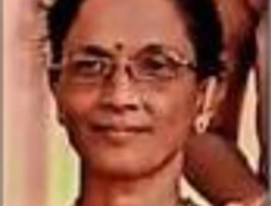 चिपळूण : विजेचा धक्का बसून महिलेचा मृत्यू