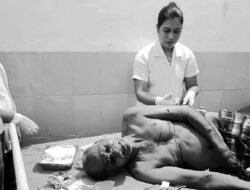 दापोली : दोघांवर डुकराचा हल्ला, एकजण गंभीर