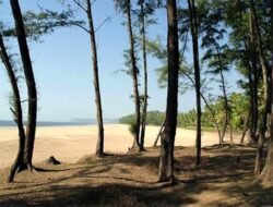 गुहागर : खाडीत पडून खलाशाचा मृत्यू