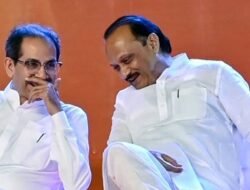 दापोली : ठाकरेंसोबत अजितदादा गटाची सत्ता कायम, कार्यकर्ते संभ्रमात, ठाकरे-अजितदादा गट दापोलीत सत्तेत