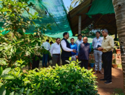 रत्नागिरी : नाचणी वरीचे क्लस्टर प्रक्रिया उद्योगाला प्रोत्साहन करावे : अनुप कुमार