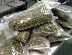 रत्नागिरी : गांजाच्या 38 पुड्या जप्त, पावसकर आणि चाऊस असे दोघे संशयित ताब्यात