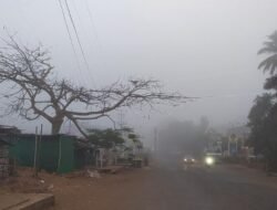 दापोली : उन्हाळ्यात दापोलीत पसरली धुक्याची चादर