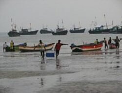 हर्णे : बंदरातून दोन होड्या चोरीस