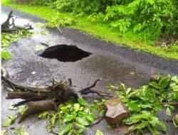 लांजा : मुसळधार पावसामुळे रस्ता खचला