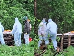 सिंधुदुर्ग : मधमाशांनमुळे पीपीई किट घालून अंत्यसंस्कार