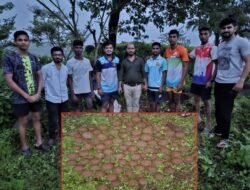 चिपळूण : गोविंदगडावर सापडले 80 हून अधिक तोफगोळे