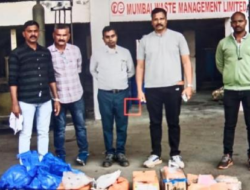 रत्नागिरी : 31 फर्स्ट आधीच रत्नागिरी पोलिसांनी नष्ट केला 10.033 किलोग्रॅम गांजा, 3.98 किलोग्रॅम केटामाईन