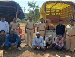 खेड : वनविभागाच्या कारवाईत दोन ट्रकसह खैर लाकूड हस्तगत