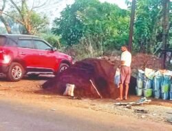 चिपळूण : करजुवे, चिवेलीतून वाळूची बेकायदा तस्करी, चिपळूणची वाळू खेडमध्ये