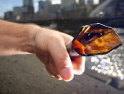 रत्नागिरी : पत्नीच्या डोक्यात पतीने फोडली बिअरची बाटली, प्रशांत गमरे विरोधात तक्रार