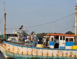 रत्नागिरी : वरवडेत ‘कस्टम’कडून एलईडी नौकेवर कारवाई