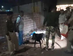 रत्नागिरी : खेडशी येथे गोवंश हत्या झाल्याच्या शक्यतेने तणाव