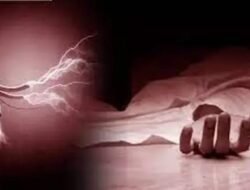 रत्नागिरी : आंबे काढताना शॉक लागलेल्या कामगाराचा मृत्यू