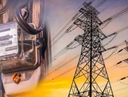 दापोली : गेल्या दोन दिवसापासून बोरिवली (आडीवाडी) गावात लाईटच नाही