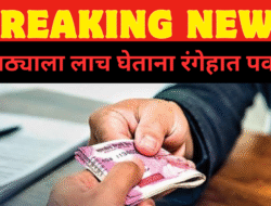 दापोली : केळशीच्या तलाठ्याला 20 हजारांची लाच घेताना रंगेहाथ पकडले