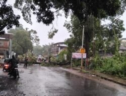 UPDATE – दापोली दाभोळ मुख्य रस्त्यावरून पुन्हा वाहतूक सुरु 