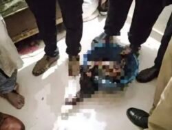 रत्नागिरी : एकता मार्ग येथे वॉचमनच्या खोलीत सापडलेले ते मांस बोकडाचे