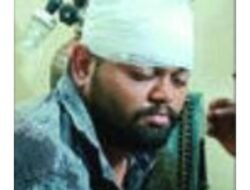 गुहागर : धावत्या दुचाकीवर झाड कोसळून तरुण गंभीर जखमी