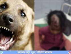 दाभोळ : लहान मुलीवर भटक्या कुत्र्यांचा हल्ला, डोक्याला 25 टाके, मुलगी गंभीर जखमी, दाभोळ ग्रामपंचायतने तातडीने कारवाई करण्याची मागणी