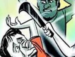 दापोली : गुरांच्या वादातून कोयत्याने हल्ला, विश्वास महाडिकवर गुन्हा दाखल