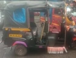 चिपळूण : भटक्या कुत्र्यामुळे रिक्षा पलटी