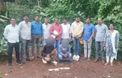 रत्नागिरी : अमली पदार्थ विरोधी मोठी कारवाई, 90 हजार किमतीचे ब्राऊन हेरॉईन जप्त, दोघांना अटक