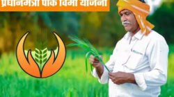 दापोली : पीक विमा योजनेच्या लाभासाठी 31 जुलै अंतिम मुदत