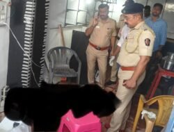 रत्नागिरी : मिरकरवाडामधील हत्या प्रकरण प्रेमप्रकरणातून