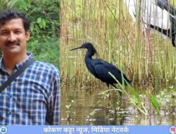 चिपळूणमध्ये ‘ब्लॅक हेरॉन’चा थरारक दाखला!भारतात प्रथमच आढळला अफ्रिकन काळा बगळा, डॉ. श्रीधर जोशी यांच्या निरीक्षणातून दुर्मीळ नोंद समोर