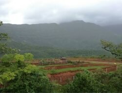 चिपळूण : परजिल्ह्यातील व्यक्तींना जमिनी विकायच्या नाहीत, ‘या’ ग्रामपंचायतीने केला ठराव