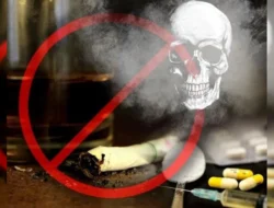 दापोली : आपलं दापोली अमली पदार्थाचं हब? खाडीकिनारी कांदळवनातून अमली पदार्थ 4 किलो जप्त, अलीकडेच 3 कारवाई