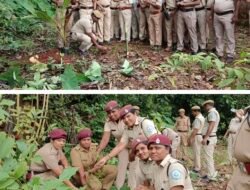 दापोली : होमगार्ड पथकाकडून हरित महाराष्ट्रासाठी वृक्षारोपण कार्यक्रम