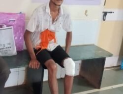 राजापुर : 3 बिबट्यांचा एका व्यक्तीवर हल्ला