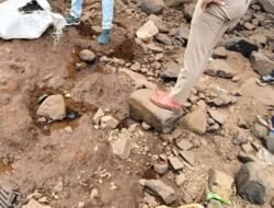 खेड : नदीपात्रात संशयास्पद पोते, तपासात म्हशीचे रेडकू मृत अवस्थेत आढळले, पोलिसांनी केले अफवांपासून दूर राहण्याचे आवाहन