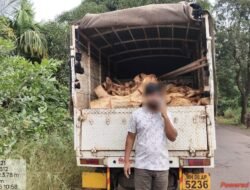 गुहागर : पालपेणे येथे अवैध खैर लाकूड करणारा टेम्पो वनविभागाच्या ताब्यात