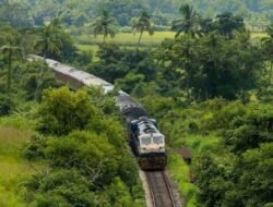 कोकण : पनवेल – चिपळूण दरम्यान 24 रेल्वेगाड्या धावणार; दिवाळीनिमित्त मध्य रेल्वेच्या 30 जादा रेल्वेगाड्या