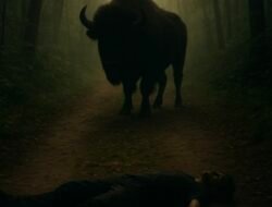 गुहागर : अंजनवेल येथे गव्याच्या हल्ल्यात गंभीर जखमी झालेल्या व्यक्तीचा मृत्यू