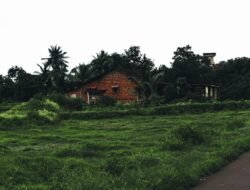 पुढील 4 दिवस कोकण, गोवा, मराठवाडा आणि मध्य महाराष्ट्रात पावसाचा इशारा