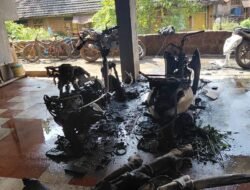 दापोली : यामुळे इमारतीमधील पाच दुचाकी जळून खाक