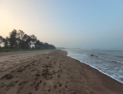 रत्नागिरी : भाट्ये समुद्रात दोन पर्यटकांना बुडताना वाचवले, स्थानिक तरुणांच्या धाडसामुळे दोघांचे प्राण वाचले