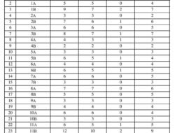 चिपळूण : नगर परिषद निवडणुकीत 142 अर्ज वैध, नगराध्यक्षपदासाठी 8 उमेदवार रिंगणात