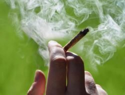 चिपळूण : गांजाचे सेवन करताना तरुणाला रंगेहाथ पकडले; NDPS ॲक्टनुसार गुन्हा दाखल