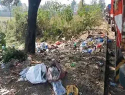 रत्नागिरी : कचरा डेपोत आढळले जिवंत नवजात अर्भक; नागरिकांच्या प्रसंगावधानामुळे बालकाचे प्राण वाचले