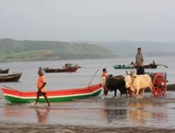 हर्णे : बंदरात बोटीवरील तांडेलचा समुद्रात बुडून मृत्यू