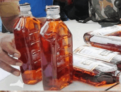 रत्नागिरी : अवैध मद्यविक्री करणाऱ्या पाच जणांवर गुन्हे दाखल