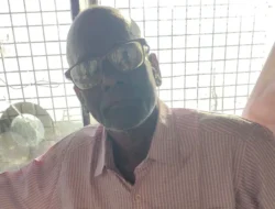 दापोली : सुरीने गळा चिरून सुनेचा खून करणाऱ्या सासऱ्याला जन्मठेप