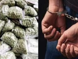 चिपळूण : अंमली पदार्थ सेवन करणाऱ्या दोघांवर कारवाई