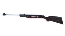 गुहागर : पक्षी मारण्याच्या बंदुकीतून सुटला छरा, निष्काळजीपणामुळे तरुणी गंभीर जखमी